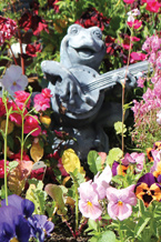 Clsoe up of frog with a banjo statue in flower box
