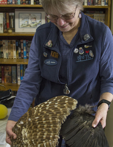 Sharon Larson showing owl wing feathers