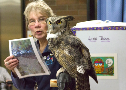 Sharon Larson holding Mr. Hoot and photo of owl habitat